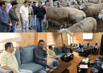 Javid Dar reviews sheep breeding initiatives at Khimber Farm