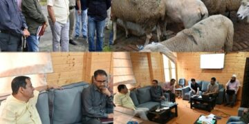 Javid Dar reviews sheep breeding initiatives at Khimber Farm