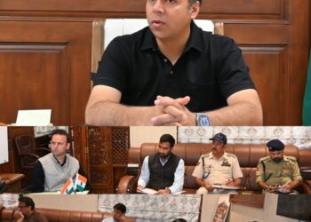 DC Anantnag chairs RTA meeting, 29 LA applications &  13 permits cleared