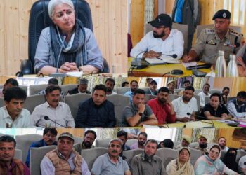 DC Bandipora reviews developmental works, Public Issues in Gurez