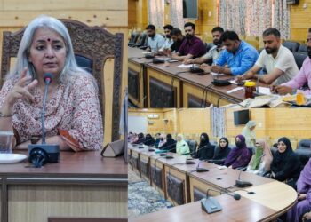 DC Bandipora reviews proposed Rural Haat at Pethkoot