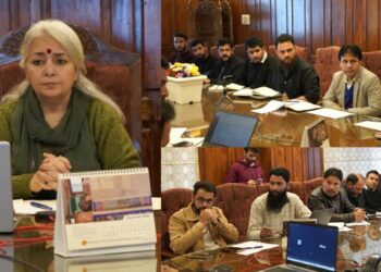 DC Bandipora chairs DLIC meeting; 188 cases approved under Mission YUVA
