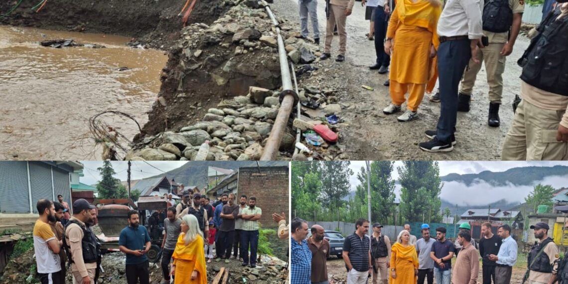 DC Bandipora inspects vulnerable areas amid prevailing Weather Situation, Reviews preparedness