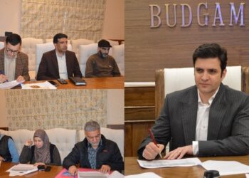 DC Budgam reviews progress under PM Surya Ghar-Muft Bijli Yojana