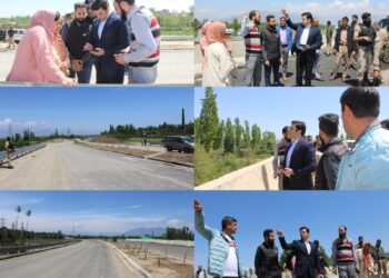 DC Budgam takes on-site stock of Ring Road Dev Project in Distt