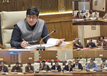 DC Budgam chairs DLIC Meeting, Reviews HADP, JKCIP implementation