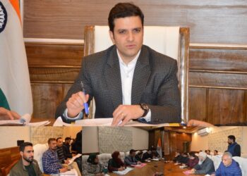 DC Budgam chairs District Environmental Plan Committee meeting
