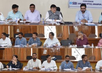 DC chairs DLRC & DCC meeting at Udhampur, Seeks max coverage of target groups for inclusive growth