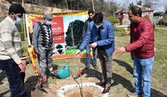 DC Budgam launches Chinar Plantation drive at BhistZehra (A.S) Park
