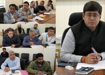 DC Ganderbal reviews progress under PM Surya Ghar scheme