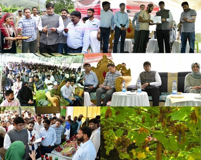 DC lauds quality grape production in Repora G’bal, encourages farmers to capitalize e potential of the product