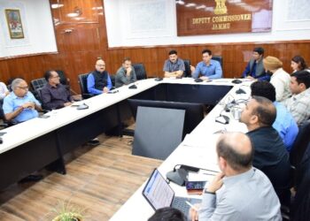 DC Jammu discusses action plan for power supply maintenance in Summers