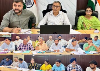 DC Kathua assesses progress of development works