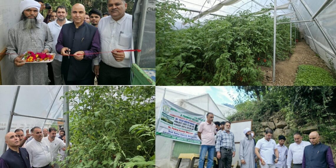 DC Kishtwar inaugurates Hi-Tech Polyhouse established under HADP Project