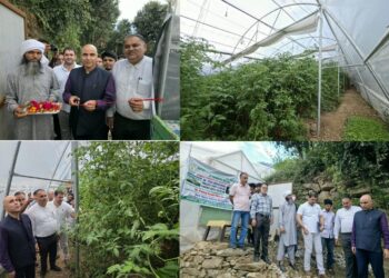 DC Kishtwar inaugurates Hi-Tech Polyhouse established under HADP Project