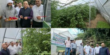 DC Kishtwar inaugurates Hi-Tech Polyhouse established under HADP Project