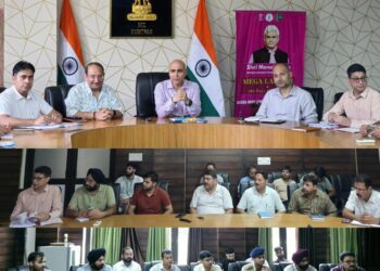 DC Kishtwar reviews progress of 4G Saturation Project