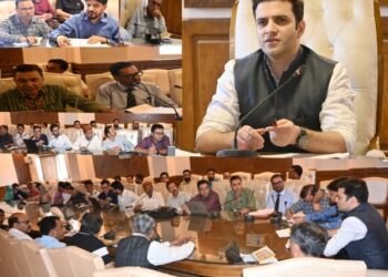 DC Kulgam chairs DLC meet for CLU cases