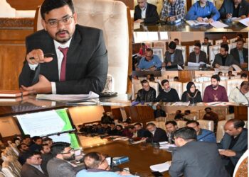 DDC Kulgam chairs DLRC Meeting, Reviews performance under ACP for quarter ended December 2025