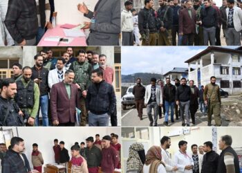 Shahzad Alam visits Sub-division D.H. Pora, reviews functioning of EMRS Tangmarg