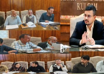 DC Kulgam reviews functioning of RDD, MGNREGA implementation
