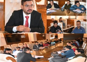 DC Kulgam chairs meeting on winter preparedness, reviews departmental readiness