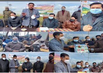 DC kick-starts spring vegetable cultivation at Agriculture Farm, Kupwara