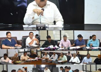 DC Poonch reviews progress of CAPEX Budget works; stresses timely tendering &  expedited execution
