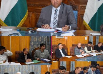 DC Pulwama Reviews Agriculture And Allied Sectors To Boost Farm Growth