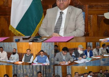 DC Pulwama reviews power sector; takes stock of progress under RDSS