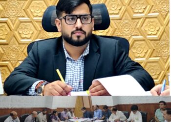 DC Rajouri reviews measures for management of stray animals