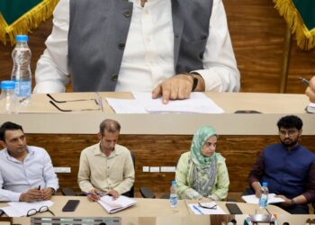 DC Srinagar reviews progress of Phase-3 heritage conservation projects across district