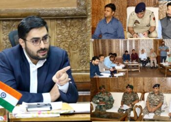 DC Srinagar chairs DLSCC meeting on processing of SRO-43, relief cases for terror victims
