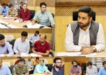 DC Srinagar chairs DLSCC meet, Recommends cases for compassionate appointment of terror victims under SRO-43