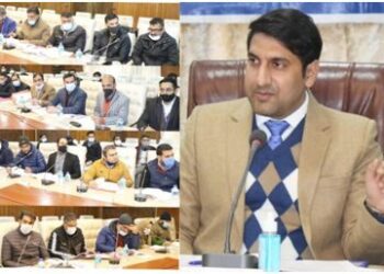 DC Srinagar chairs DLRC meeting