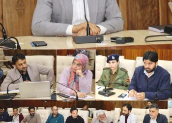 DC Srinagar reviews development of telecom infra under JKCCIP