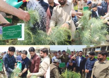 DC Srinagar leads plantation drive under ongoing 100-day intensive NashaMukt J&K Abhiyan