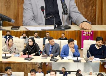 DC Srinagar reviews progress in installation of roof top solar systems under PMSGMB Yojana