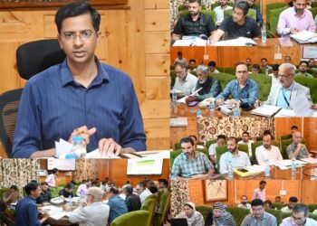 DC Shopian Chairs DLRC, DCC meeting; Reviews Q4 financial performance of FY 2025-26