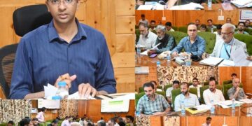 DC Shopian Chairs DLRC, DCC meeting; Reviews Q4 financial performance of FY 2025-26