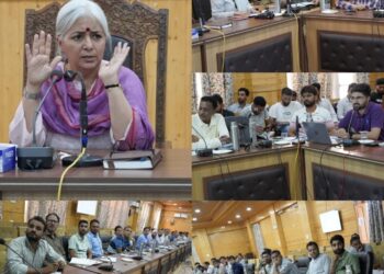 DDC Bandipora reviews progress of District Capex, Revenue Capex, DAJGUA Works