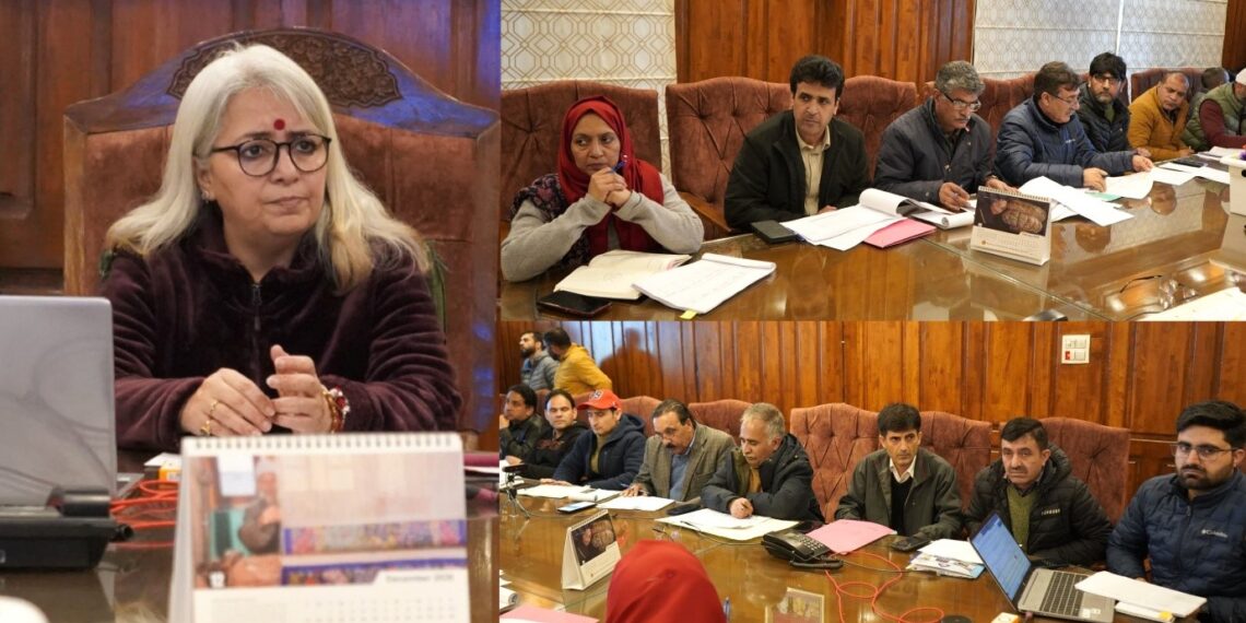 DDC B’pora reviews Distt CAPEX Budget 2025–26, Stresses on  timely execution & accountability