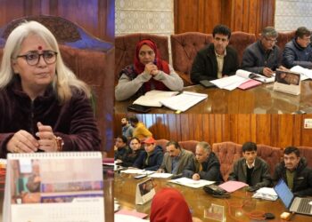 DDC B’pora reviews Distt CAPEX Budget 2025–26, Stresses on  timely execution & accountability