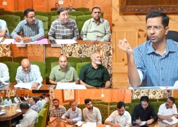 DDC Shopian Reviews District Capex Works, Directs Timely Completion
