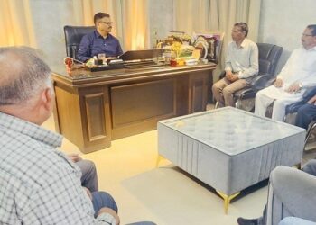 Delegations raise development issues with Javed Rana