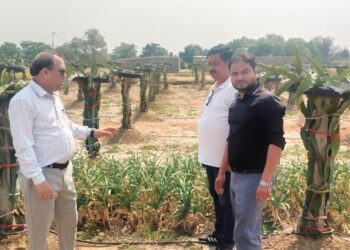 Dragon fruit cultivation gets impetus in Samba villages,  DHC conducts field visit to assess plantation progress 