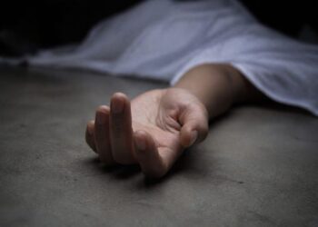 Man dies after falling from walnut tree in Kulgam