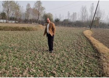 Director Agriculture Kashmir visits Kupwara