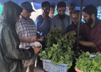 Dir Agri(K)  launches vegetable seedling distribution drive at Kitchen Garden Lalmandi Srinagar