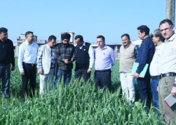 Dir Agriculture Jammu reviews progress of Digital Crop Survey